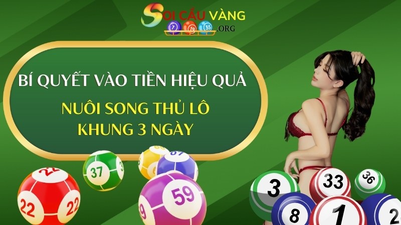 Bí quyết vào tiền hiệu quả khi nuôi song thủ lô khung 3 ngày