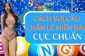 Hướng dẫn cách soi cầu đề chẵn lẻ miền Bắc cực chuẩn