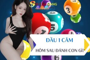 Đầu 1 câm hôm sau đánh con gì? Kinh nghiệm chơi đầu câm từ cao thủ