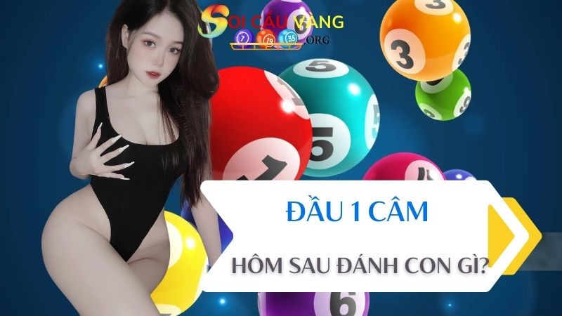 Dự đoán đầu 1 câm hôm sau đánh con gì?