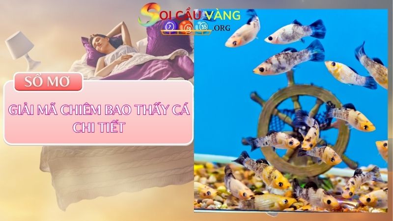 Giải mã chiêm bao thấy cá chi tiết 