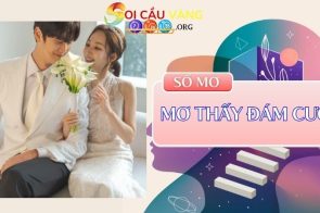 Mơ thấy đám cưới là diều hung hay cát? Đánh con số mấy?