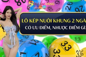 Soi cầu bạch thủ lô kép khung 2 ngày miền Bắc siêu chuẩn