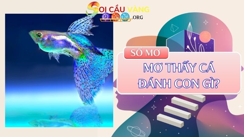 Mơ thấy cá đánh con gì?