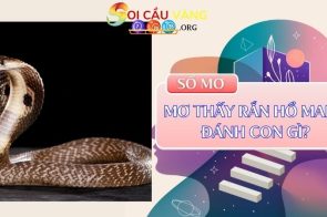 Tìm hiểu giấc mơ thấy rắn hổ mang – Mơ thấy rắn hổ mang đánh con gì?