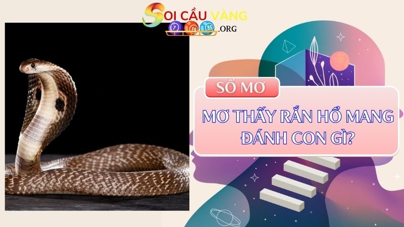 Mơ thấy rắn hổ mang đánh con gì?