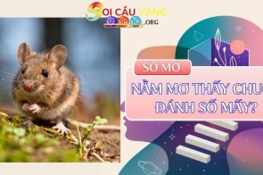 Nằm mơ thấy chuột đánh số mấy? Là điềm lành hay xấu?