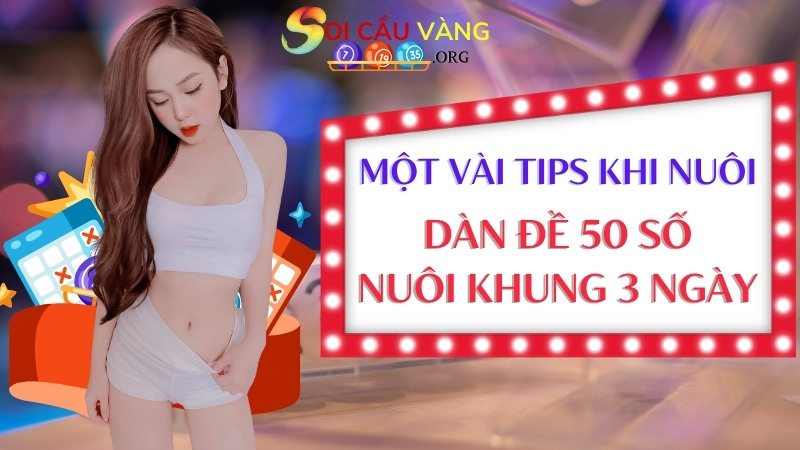 Một vài tips khi nuôi dàn đề 50 số khung 3 ngày