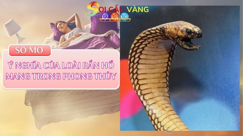 Ý nghĩa của loài rắn hổ mang trong phong thủy