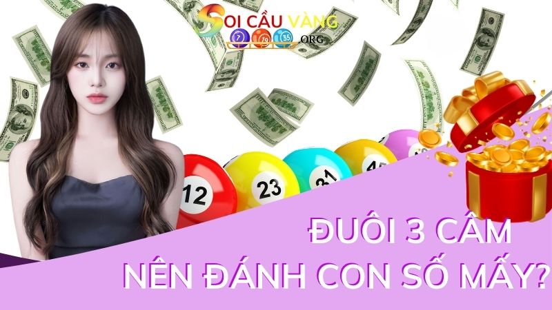 Đuôi 3 câm nên đánh con số mấy?