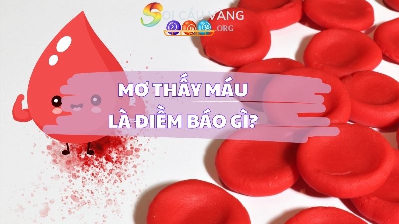 Giấc mơ thấy máu có ý nghĩa gì?