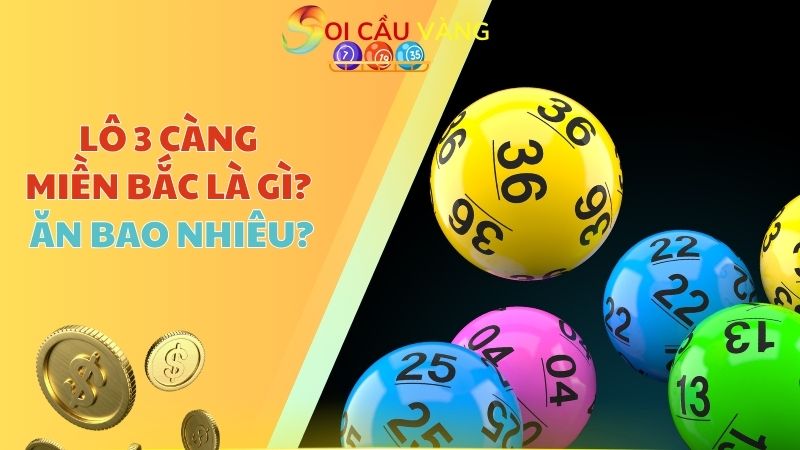 Lô 3 càng miền Bắc là gì? Ăn bao nhiêu?