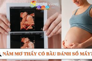 Nằm mơ thấy có bầu là điềm lành hay ác? Đánh con số mấy dễ trúng?