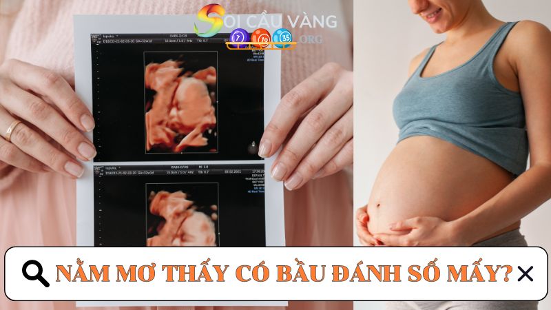 Nằm mơ thấy có bầu đánh số mấy để trúng xổ số?