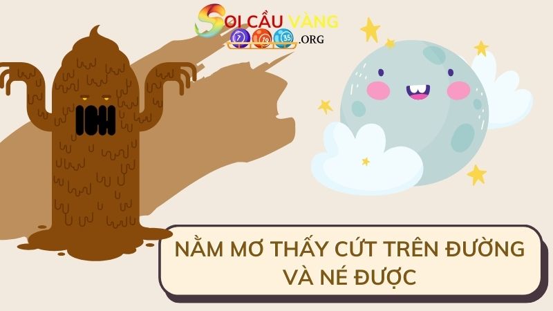 Nằm mơ thấy cứt trên đường và né được