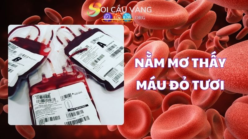 Nằm mơ thấy máu đỏ tươi