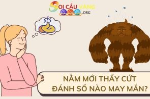 Nằm mơ thấy cứt dự báo điềm gì? Đánh số mấy trúng lô đề?