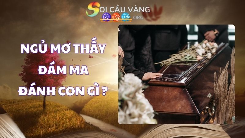 Ngủ mơ thấy đám ma đánh con gì dễ trúng nhất?