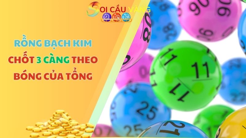 Phương pháp Rồng bạch kim chốt 3 càng theo bóng của tổng