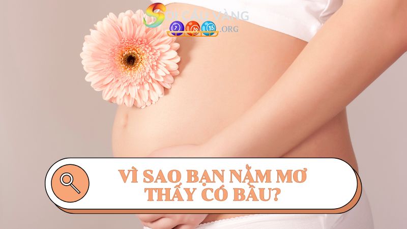 Vì sao bạn nằm mơ thấy có bầu?