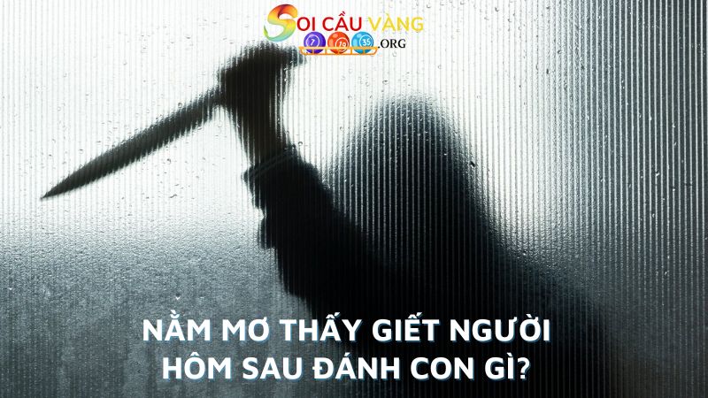 Nằm mơ thấy giết người đánh con gì?