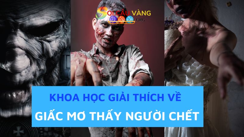 Khoa học giải thích gì về giấc mơ thấy người chết?