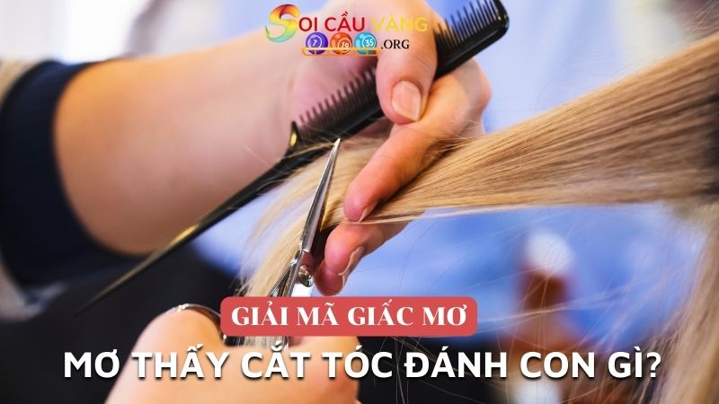 Mơ thấy cắt tóc đánh con gì tăng cơ hội thắng lớn