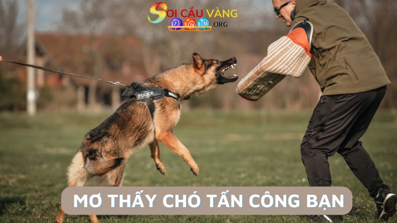 Mơ thấy chó tấn công bạn