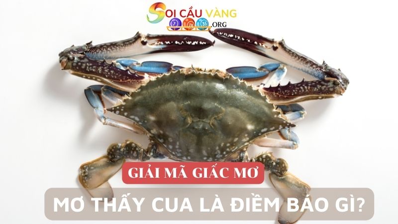 Mơ thấy cua báo hiệu điềm gì?