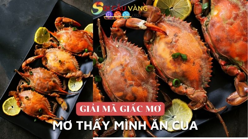 Mơ thấy mình ăn cua