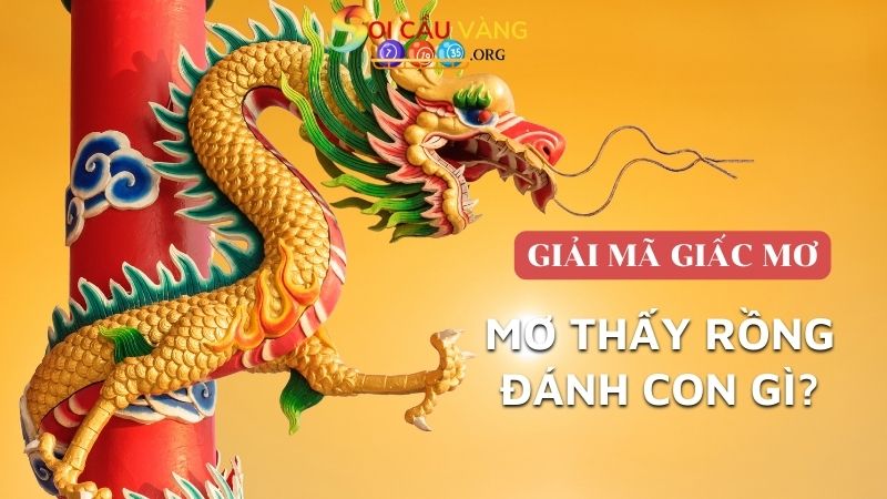 Mơ thấy rồng đánh con gì may mắn