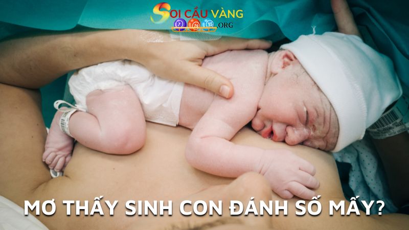 Mơ thấy sinh con đánh số mấy?