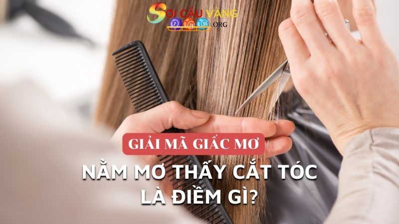 Giải mã nằm mơ thấy cắt tóc là điềm gì?