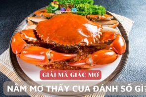 Con cua số mấy? Nằm mơ thấy cua đánh số gì đem lại may mắn?