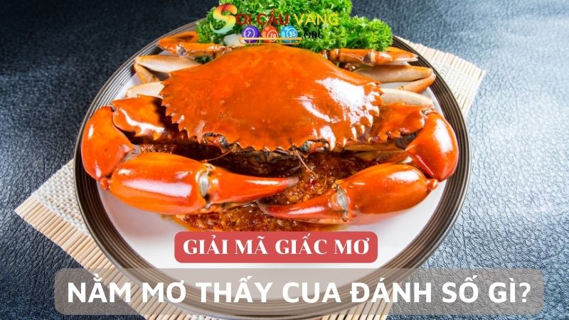 Nằm mơ thấy cua đánh số gì may mắn