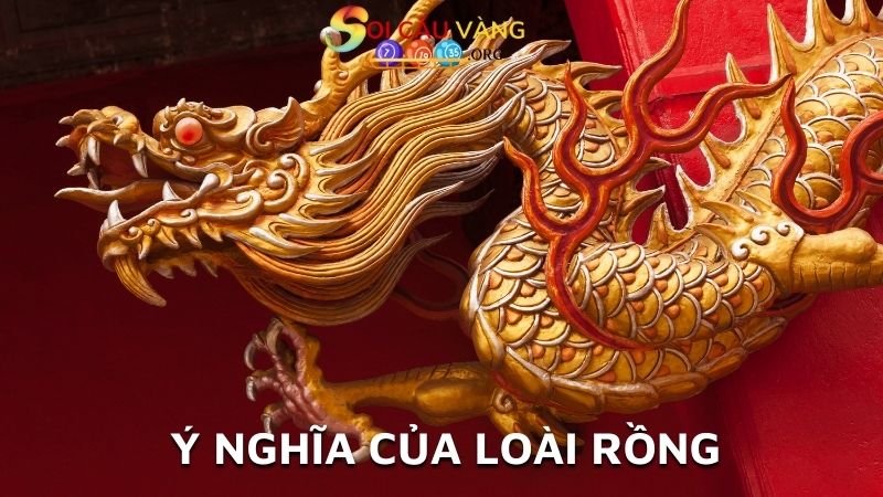 ý nghĩa của loài rồng