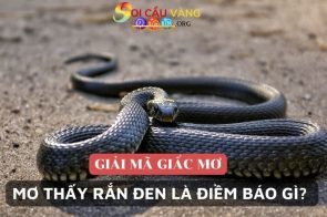 Nằm mơ thấy rắn đen đánh số mấy may mắn? Là điềm báo gì?