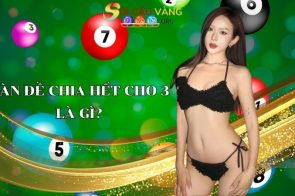 Chi tiết về dàn đề chia hết cho 3 và dàn đề không chia hết cho 3