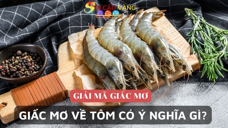 Giấc mơ về tôm có ý nghĩa gì?