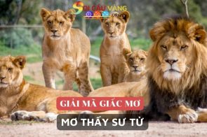 Giải mã giấc mơ thấy sư tử – Nằm mơ thấy sư tử đánh số gì?