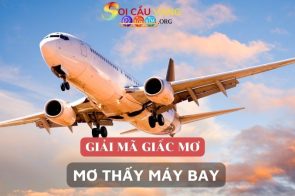 Mơ thấy đi máy bay, Mơ thấy máy bay đánh con gì?