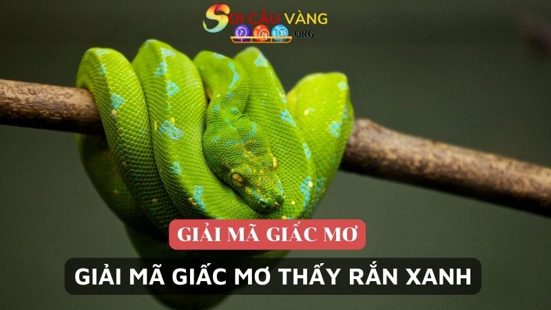 Giải mã giấc mơ thấy rắn xanh