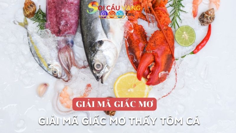 Giải mã giấc mơ thấy tôm cá