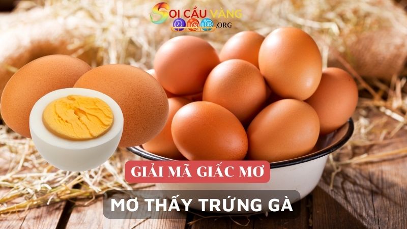 Giải mã giấc mơ thấy trứng gà