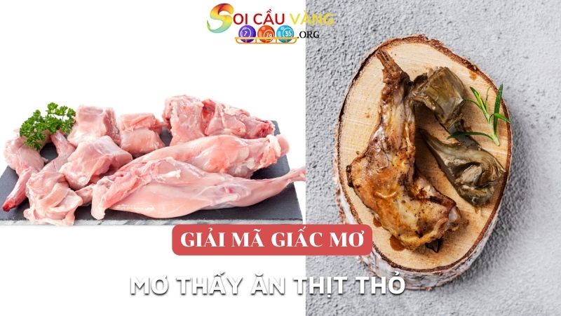 Mơ thấy ăn thịt thỏ