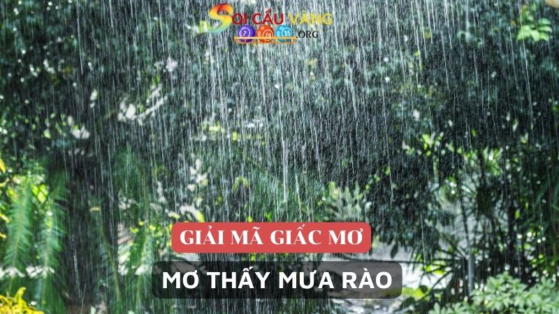 Mơ thấy mưa rào là điềm báo gì?