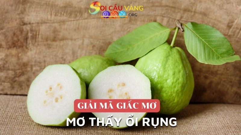 Mơ thấy ổi rụng