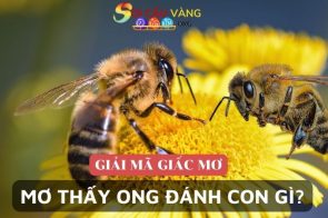 Giải mã giấc mơ thấy ong – Mơ thấy ong đánh con gì dễ trúng?