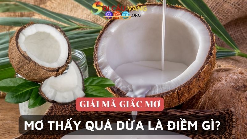 Mơ thấy quả dừa là điềm gì? Tốt hay xấu?