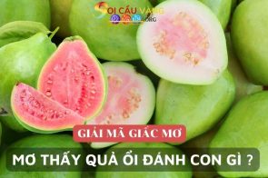 Giải mã giấc mơ: Mơ thấy quả ổi đánh con gì ăn to